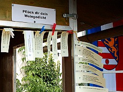 04_08_08_03.jpg © Brückl